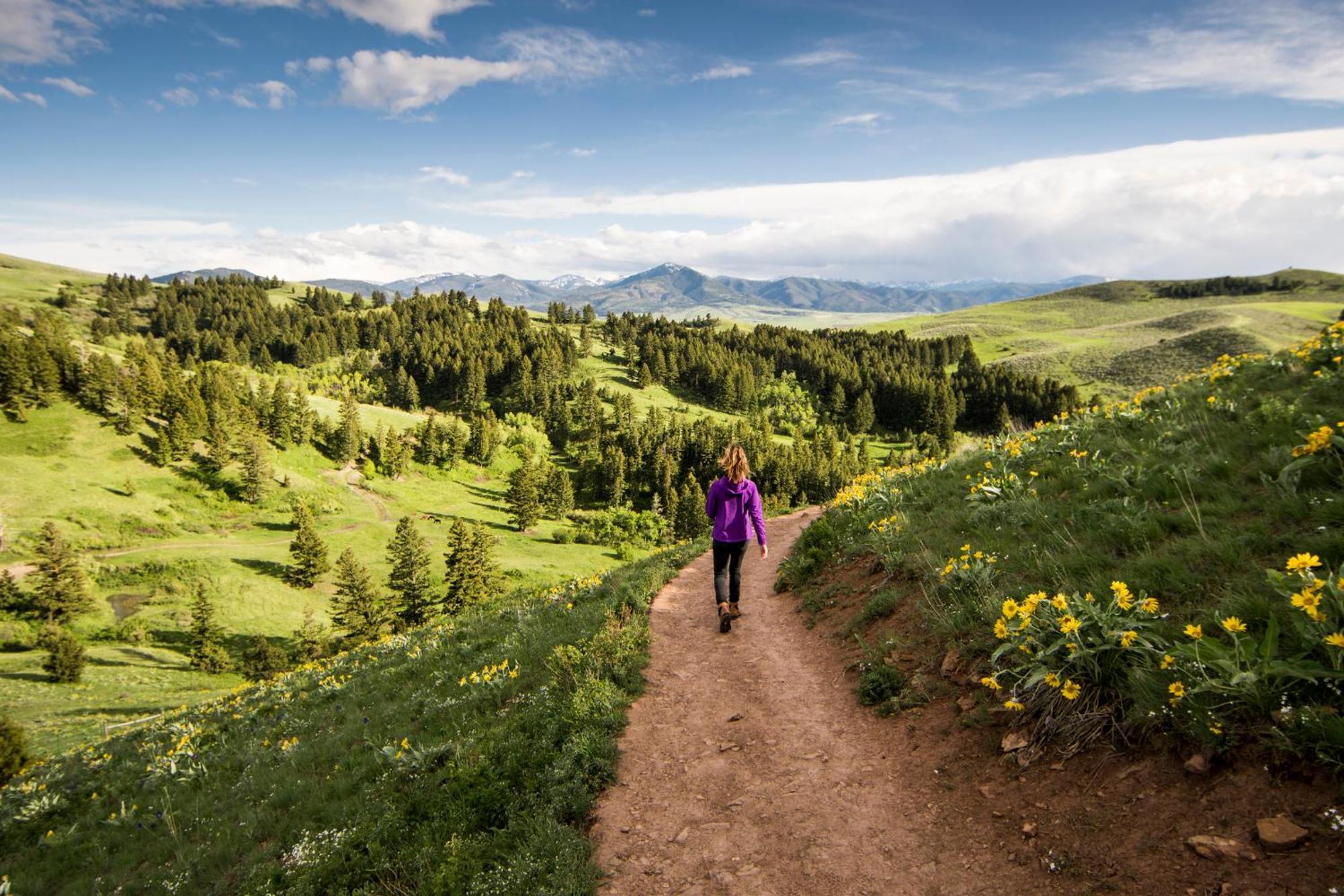 Even Hotel Bozeman Yellowstone Intl Arpt By Ihg Belgrade Εξωτερικό φωτογραφία